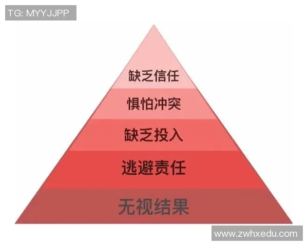 杭州乒乓球队团队协作引发热议争议背后的默契与分歧探讨