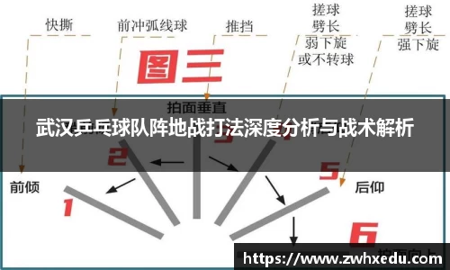 武汉乒乓球队阵地战打法深度分析与战术解析